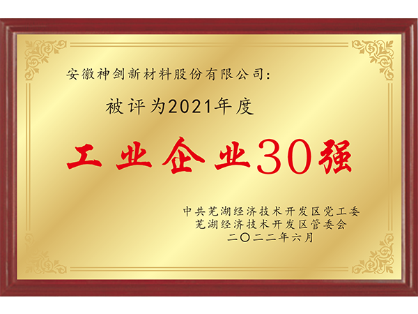 2021年度工业企业30强